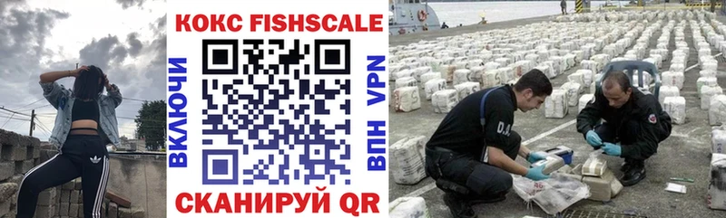 Кокаин FishScale  shop наркотические препараты  Арсеньев 