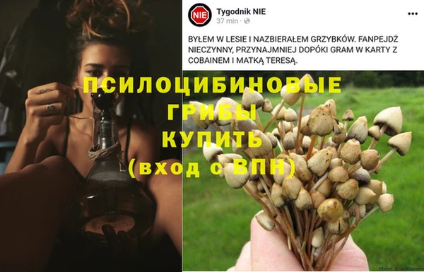 гашишное масло Абинск