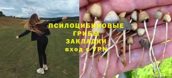 ECSTASY Алзамай