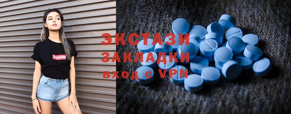 ECSTASY Алзамай