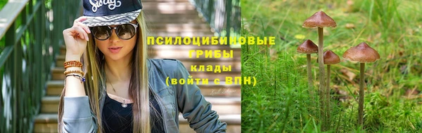 apvp Абдулино