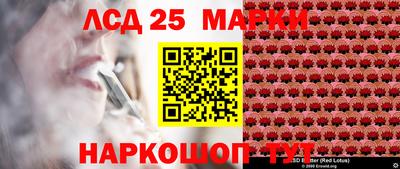 ПСИЛОЦИБИНОВЫЕ ГРИБЫ Кингисепп