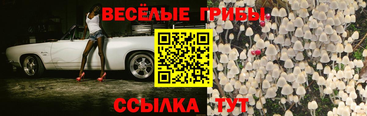 Галлюциногенные грибы MAGIC MUSHROOMS Арсеньев