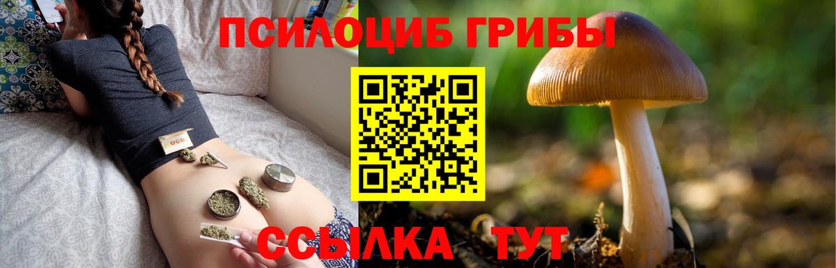 хочу   Вход с VPN  Арсеньев  Галлюциногенные грибы ЛСД 
