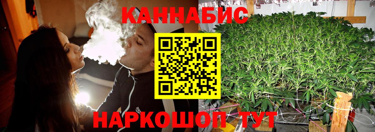 Бошки Шишки MAZAR Арсеньев